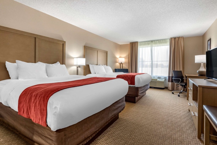Standard Quadruple room