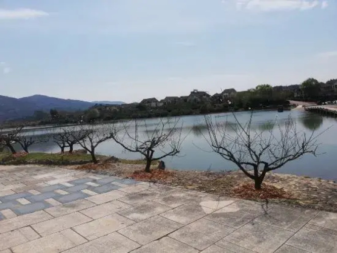 Shuizhuang No.22 +Villa