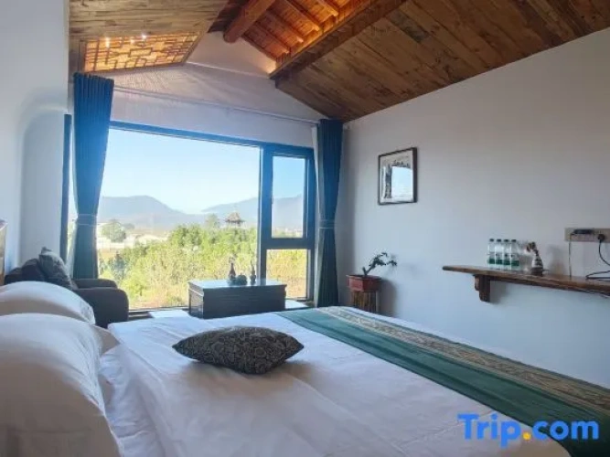 Standard Twin Family room