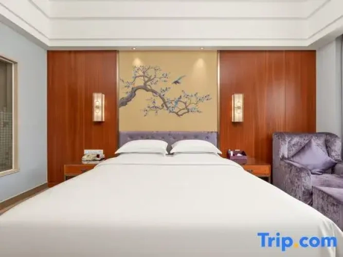 Comfort Double Suite
