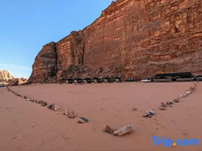 WhyDesert Camp & Jeep Tours