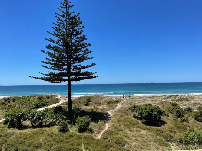 Absolute Beach