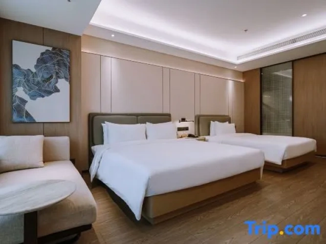 Deluxe Double Family room