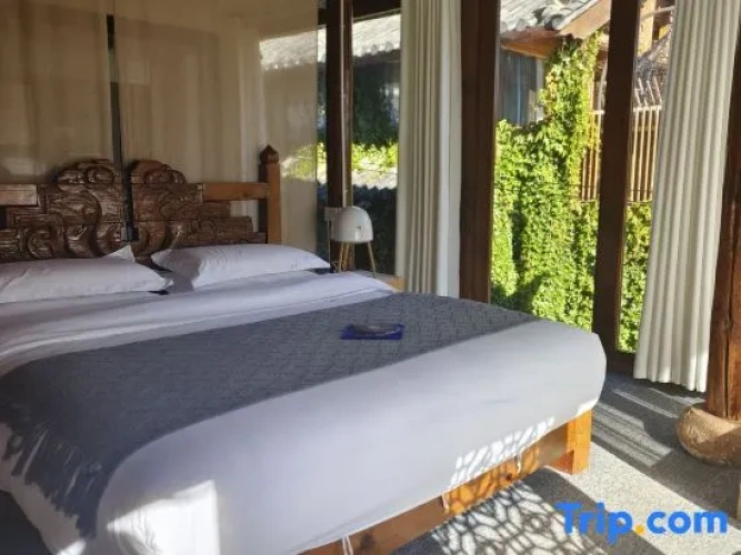 Standard Double room with courtyard view