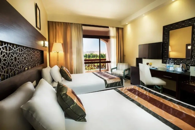 Twin room Nile View