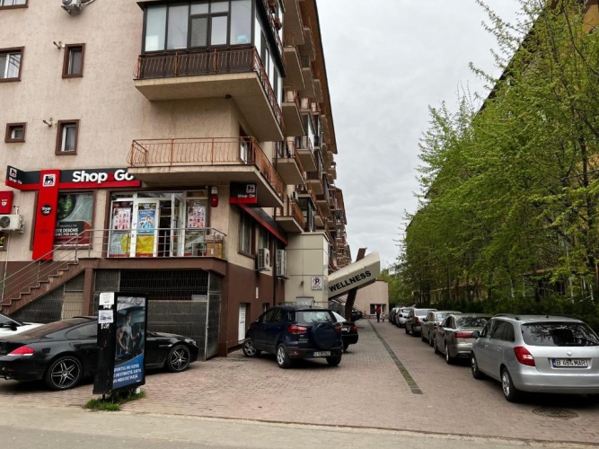 1 Bedroom Apartment