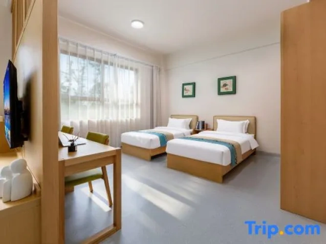 Comfort Suite