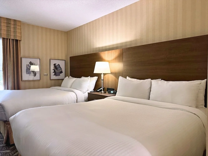 Executive Quadruple room