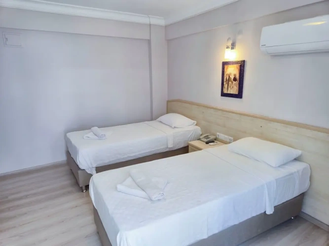 Standard Twin room with balcony and with mountain view