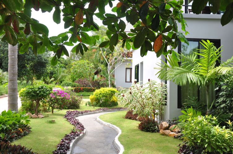 Samui Honey Suite Over view