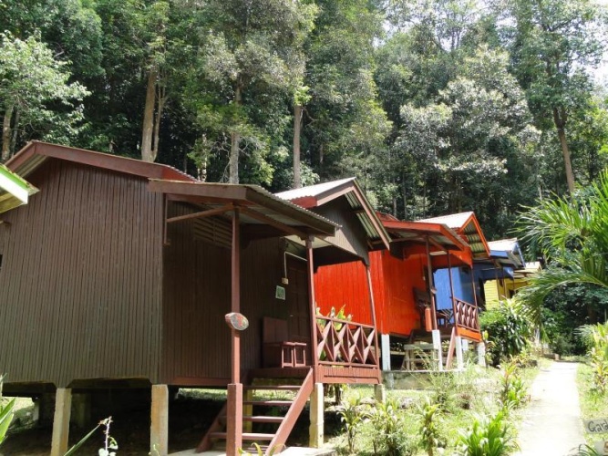 Standard room with garden view