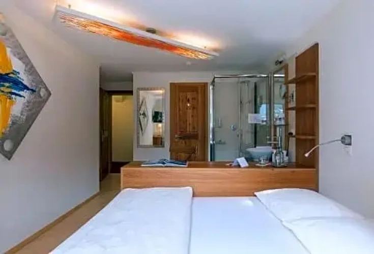 Standard Double room with balcony and with view