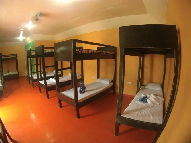 Bed in Dorm