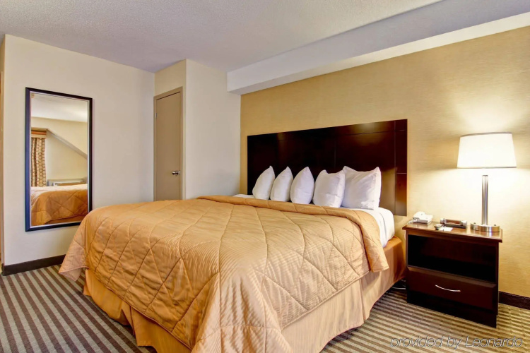 Comfort Inn East