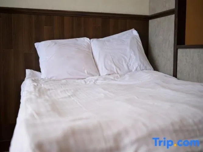 Standard Double room with ocean view