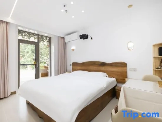 Standard Double room with view