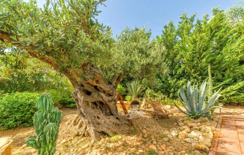 Villa Blandina
