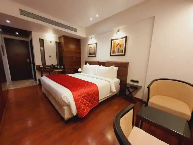 Executive Single room with city view