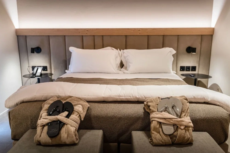 Deluxe Twin room with view