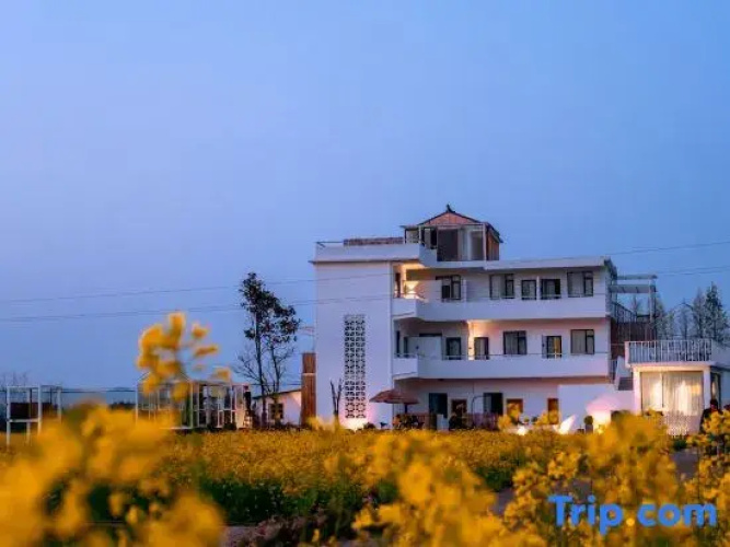 Mountain Field  Flower Hous