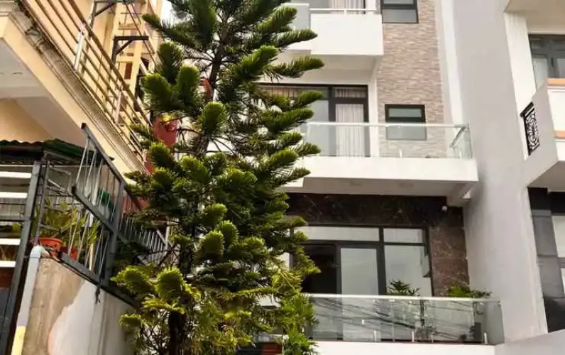 Q's House Dalat