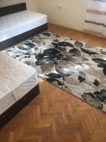 Stylish spacious flat