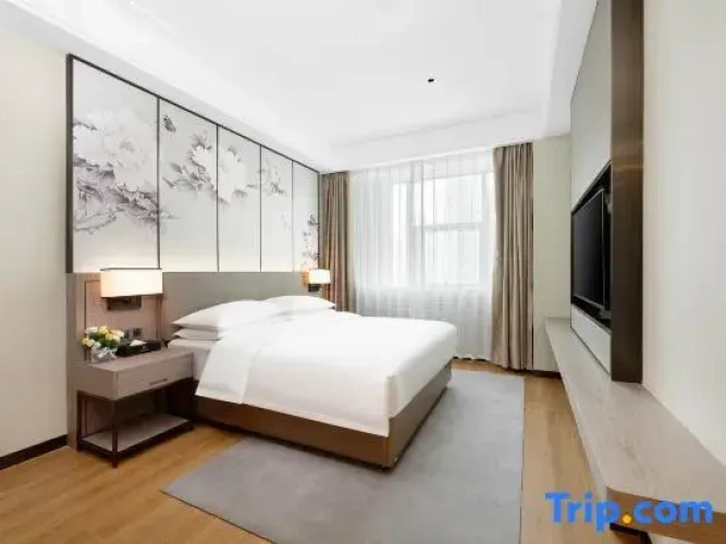 Business Suite