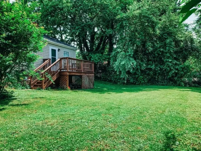 Cottage