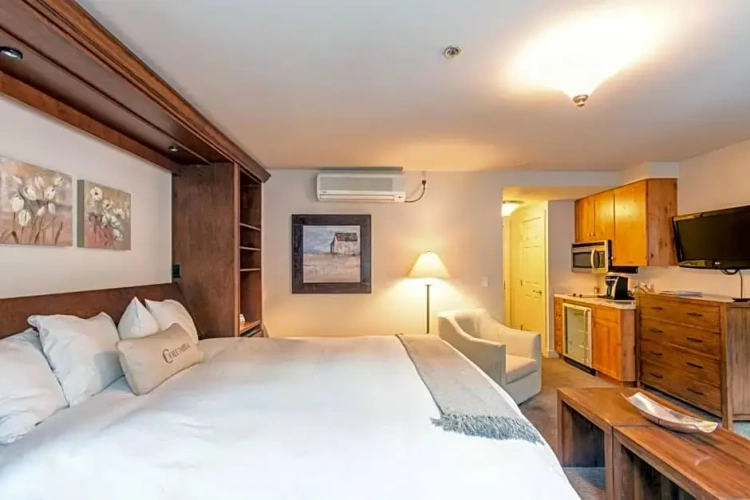 1 Bedroom Standard Double Suite