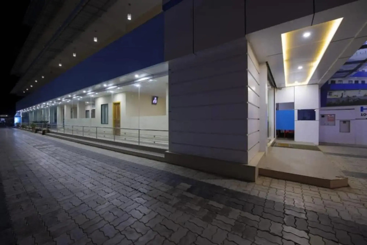 Blooming Paradise