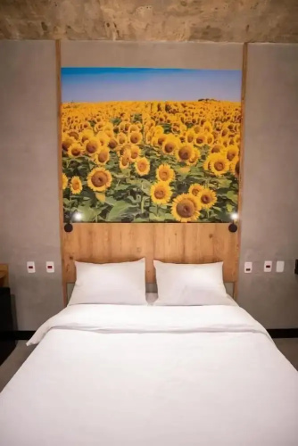 Campos De Holambra Inn