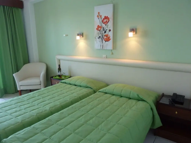 Standard Twin room with balcony and with sea view