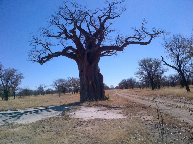 Lesoma Valley Lodge