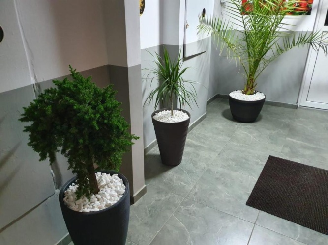 2 Bedrooms Double Apartment