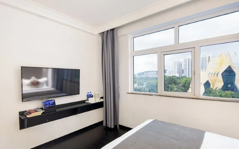 Grand Single room with city view