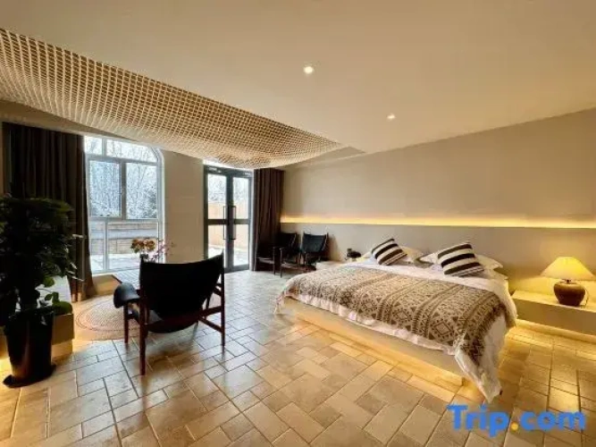 Comfort Suite