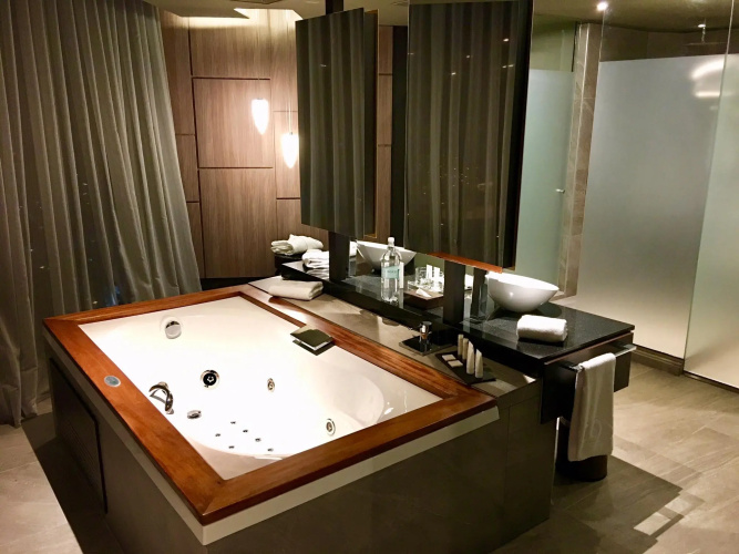 Icon Hotel photo 11