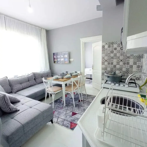 Luxury Apartment