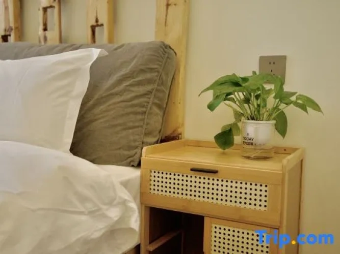 1 Bedroom Standard Double room