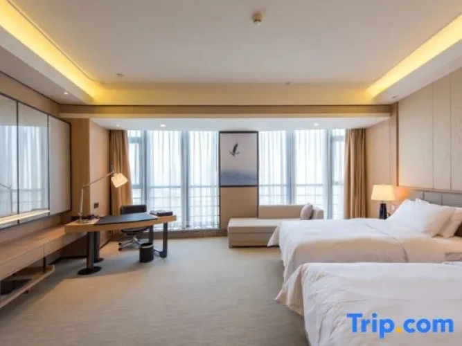 Executive Twin room
