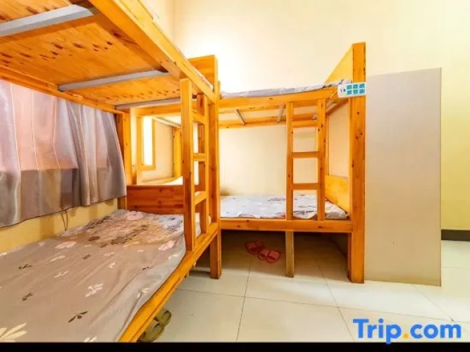 Bed in Dorm