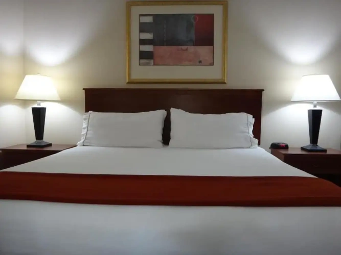 Deluxe Single room