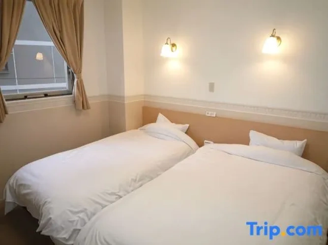 Standard Twin room with city view