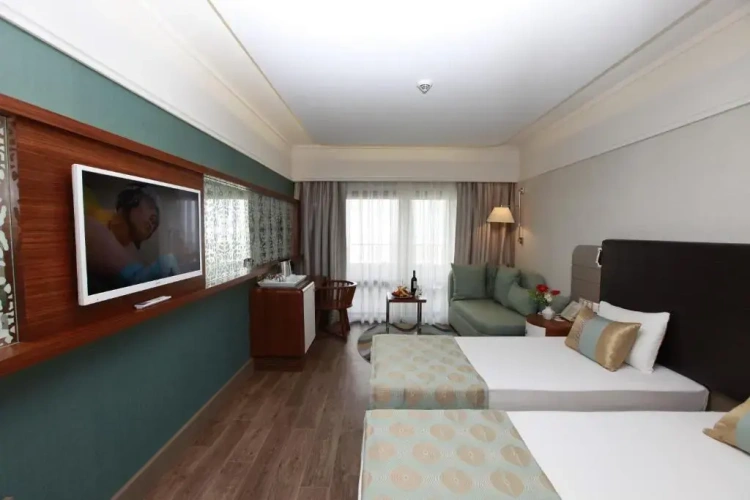 Standard Twin room with balcony and with garden view