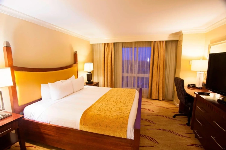 1 Bedroom Executive Double Suite