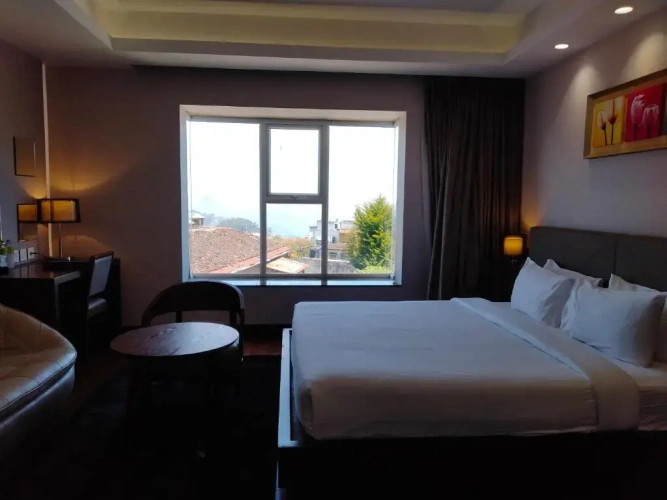 Suite