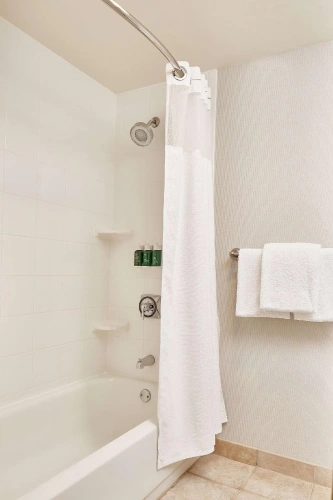 1 Bedroom Quadruple Suite