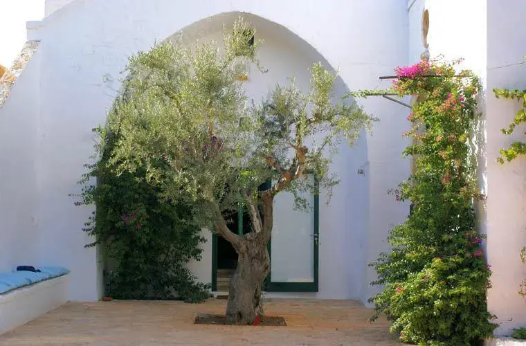 Masseria Sacerdote B&B
