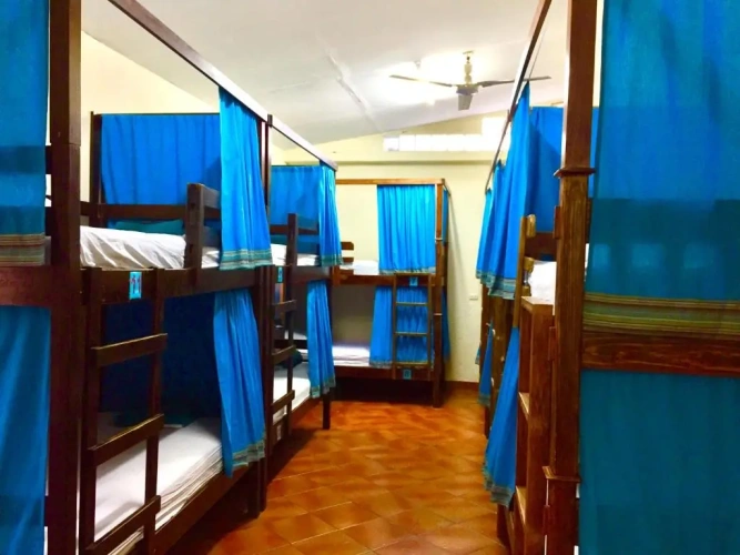 Bed in Dorm