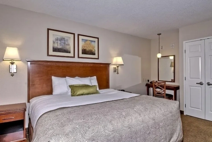 1 Bedroom Suite